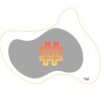 New Age Content Services LLP