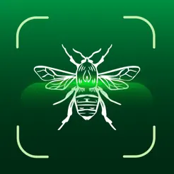 Bug Bite Identifier :Spider ID