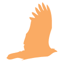 Zero-Day Phishing Detector